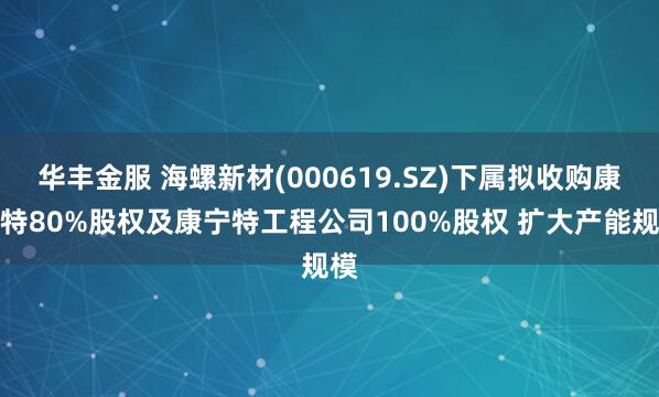 华丰金服 海螺新材(000619.SZ)下属拟收购康宁特80%股权及康宁特工程公司100%股权 扩大产能规模