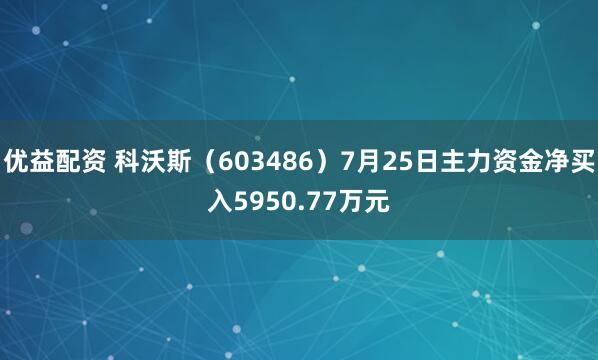 优益配资 科沃斯（603486）7月25日主力资金净买入5950.77万元