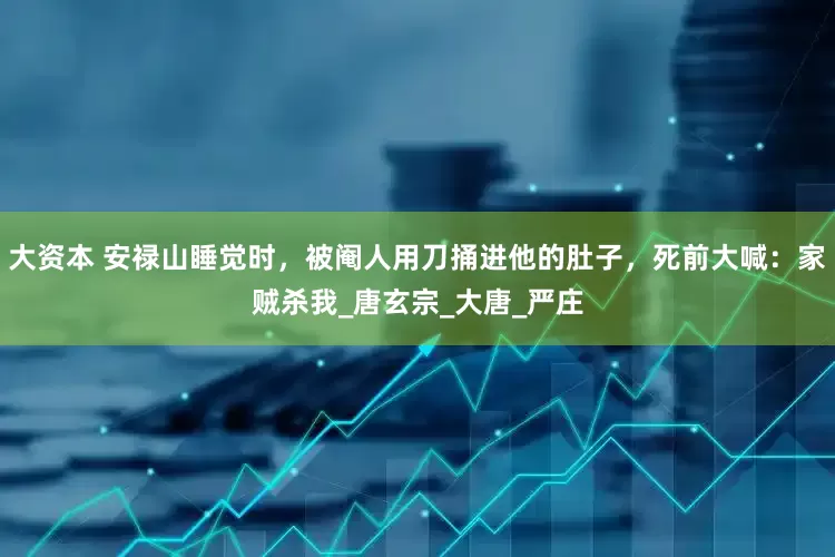 大资本 安禄山睡觉时，被阉人用刀捅进他的肚子，死前大喊：家贼杀我_唐玄宗_大唐_严庄