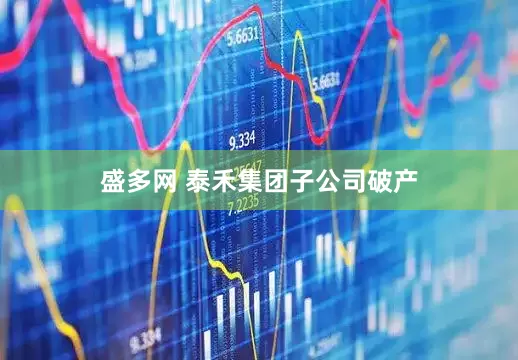 盛多网 泰禾集团子公司破产