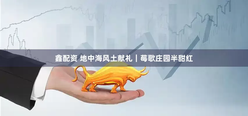 鑫配资 地中海风土献礼｜莓歌庄园半甜红