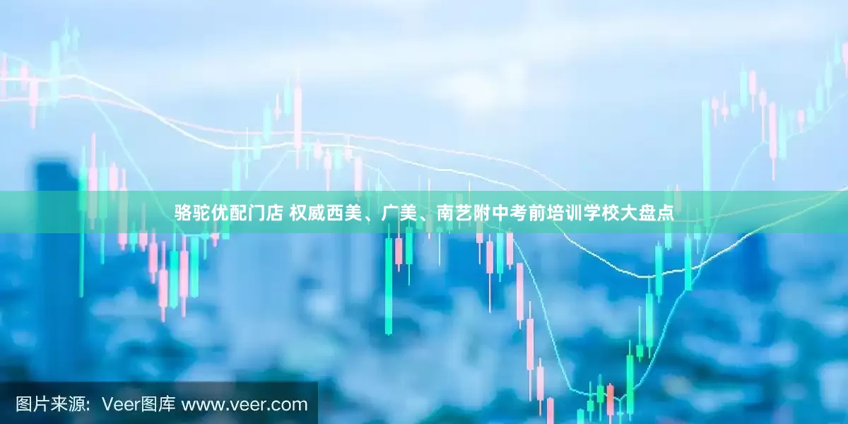 骆驼优配门店 权威西美、广美、南艺附中考前培训学校大盘点
